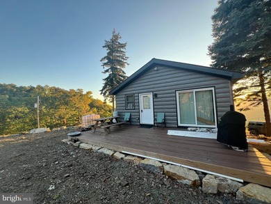 REDUCED!!! PRICE FIRM! This cabin is uniquely perched atop a - photo 11