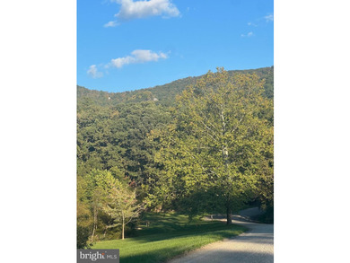 REDUCED!!! PRICE FIRM! This cabin is uniquely perched atop a - photo 18