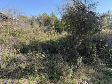 Rare find! Almost a half of acre lot in St Martin. .40 acre - photo 2