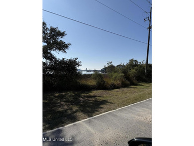 Rare find! Almost a half of acre lot in St Martin. .40 acre - photo 3