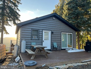 REDUCED!!! PRICE FIRM! This cabin is uniquely perched atop a - photo 28