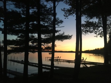 Lake Home For Sale in Evart, Michigan