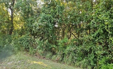 This lot (R98) and lot (R97) are 2 Residential adjacent lots - photo 4