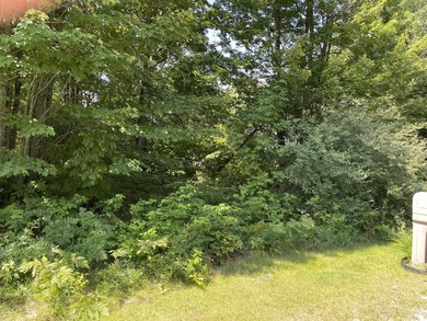 ''Enjoy approximately 300 feet of private lake access complete - photo 10
