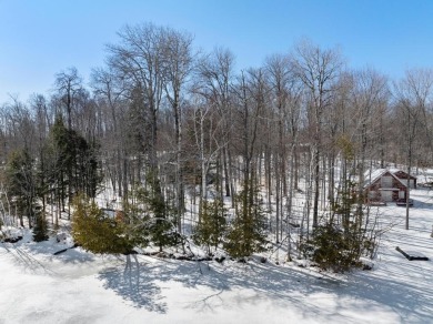 Lake Lot For Sale in Levering, Michigan