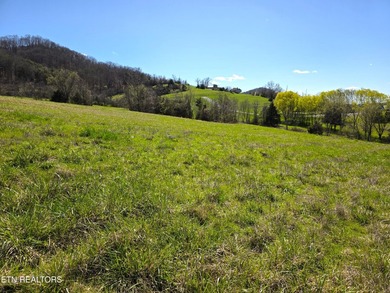 This sweet lot on a cul de sac is within walking distance to the - photo 6