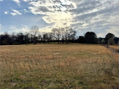 Hard-to-Find Commercial/Residential Land in Calhoun, GA - Prime - photo 3