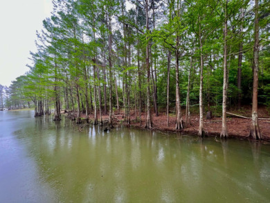 Toledo Bend Lake Acreage For Sale in Hemphill Texas