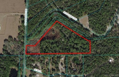 (private lake, pond, creek) Acreage For Sale in Ocklawaha Florida