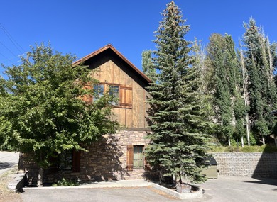 Big Wood River Commercial For Sale in Ketchum Idaho