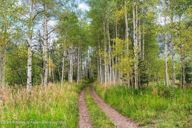 HIGHLAND RANCH The Birthplace of Aspen Skiing There are estates - photo 23