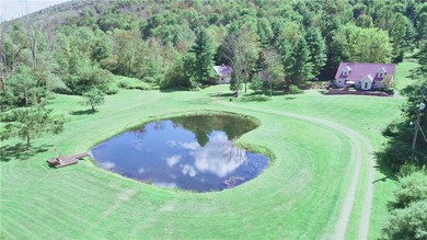 (private lake, pond, coastal) Home Sale Pending in Franklin New York