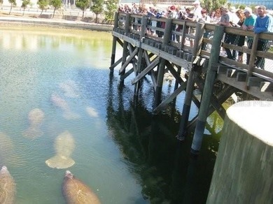 One or more photo(s) has been virtually staged. NO HOA, CLOSING - photo 42