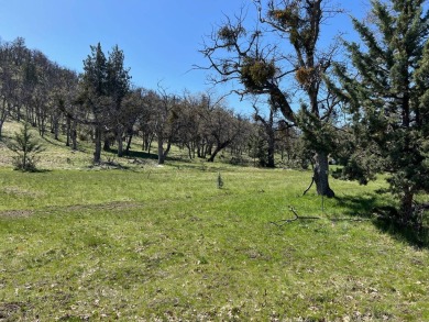 Lake Lot For Sale in Montague, California