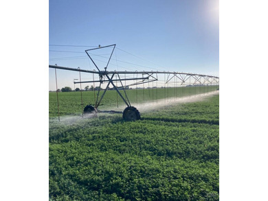 (private lake, pond, creek) Acreage For Sale in La Junta Colorado