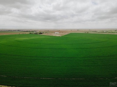 This premium 271+/- -acre irrigated hay and livestock operation - photo 4