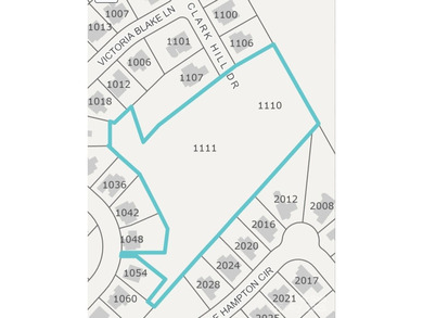 Lake Wylie Acreage For Sale in Belmont North Carolina