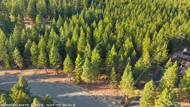 Experience the art of semi-custom mountain living in the private - photo 13