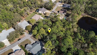 Build your dream home on this beautiful vacant lot in Sugar Mill - photo 13