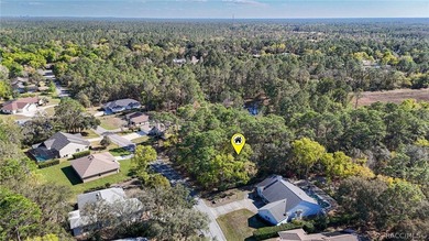 Build your dream home on this beautiful vacant lot in Sugar Mill - photo 15