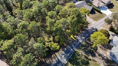 Build your dream home on this beautiful vacant lot in Sugar Mill - photo 16