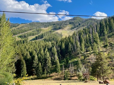 Big Wood River Lot For Sale in Ketchum Idaho