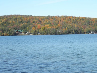 Lake Bomoseen Home For Sale in Castleton Vermont