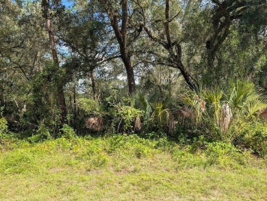 Lake Weohyakapka Lot For Sale in Indian Lake Estates Florida