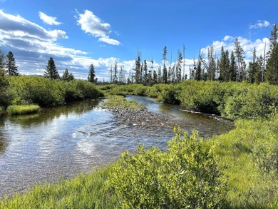 (private lake, pond, creek) Acreage For Sale in Stanley Idaho
