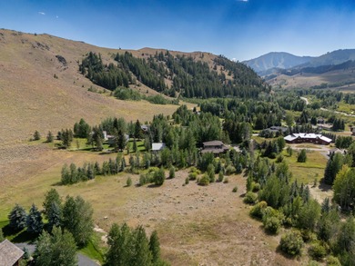 Big Wood River Acreage For Sale in Blaine County Idaho