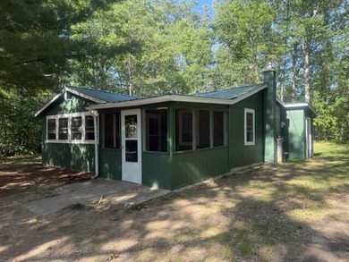 Woodland Lake - Newaygo County Home Sale Pending in Bitely Michigan