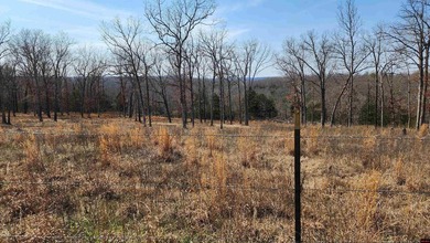 Build your dream home on this beautiful 5.71-acre m/l tract - photo 4