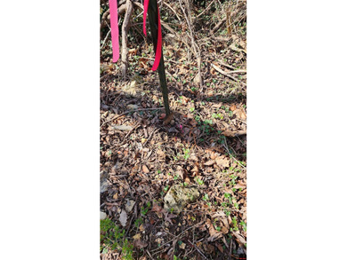 Build your dream home on this beautiful 5.71-acre m/l tract - photo 5