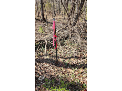 Build your dream home on this beautiful 5.71-acre m/l tract - photo 6