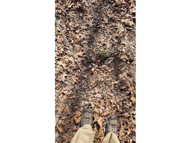 Build your dream home on this beautiful 5.71-acre m/l tract - photo 8