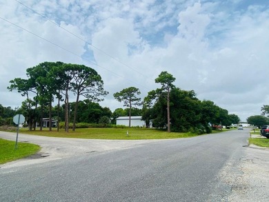 Affordable General Commercial corner lot .35 Acre mostly cleared - photo 2