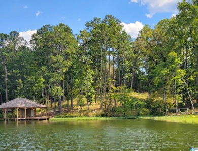Lake Lot For Sale in Rockford, Alabama