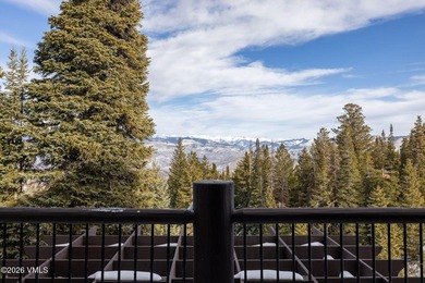 Experience elevated mountain living at its finest in this - photo 18