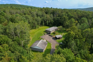 Lake Home For Sale in Windsor, New York