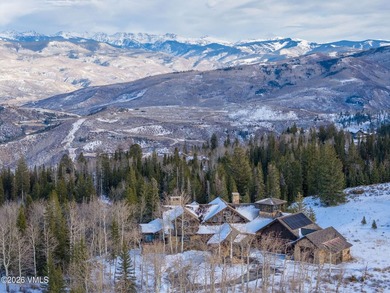 Experience elevated mountain living at its finest in this - photo 41
