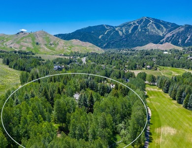 Big Wood River Home For Sale in Sun Valley Idaho