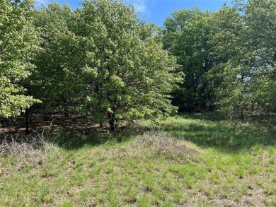 Lake Lot For Sale in Nocona, Texas