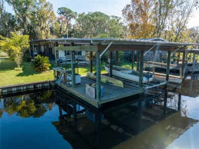 Lake Home For Sale in Seville, Florida