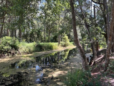 Lake Lot For Sale in Clermont, Florida