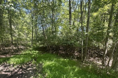 Lake Lot For Sale in Pocono Summit, Pennsylvania