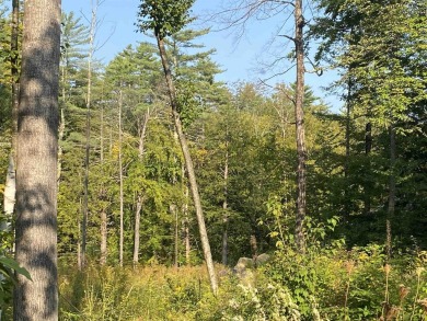Lake Lot For Sale in Hillsborough, New Hampshire