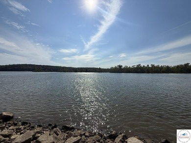 Fisherman's Paradise at the Lake of the Ozarks! Built in 2023 - photo 39