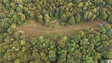 45 ACRES OF PRIME HUNTING LAND NEAR LAKE BARKLEY! Discover the - photo 2