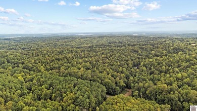 45 ACRES OF PRIME HUNTING LAND NEAR LAKE BARKLEY! Discover the - photo 3