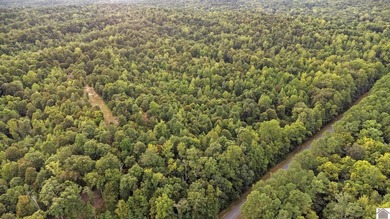 45 ACRES OF PRIME HUNTING LAND NEAR LAKE BARKLEY! Discover the - photo 4